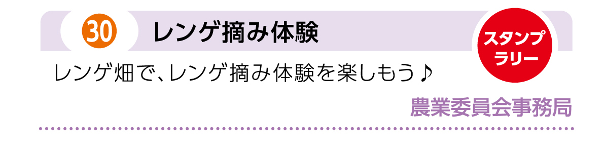 プログラム 30-2